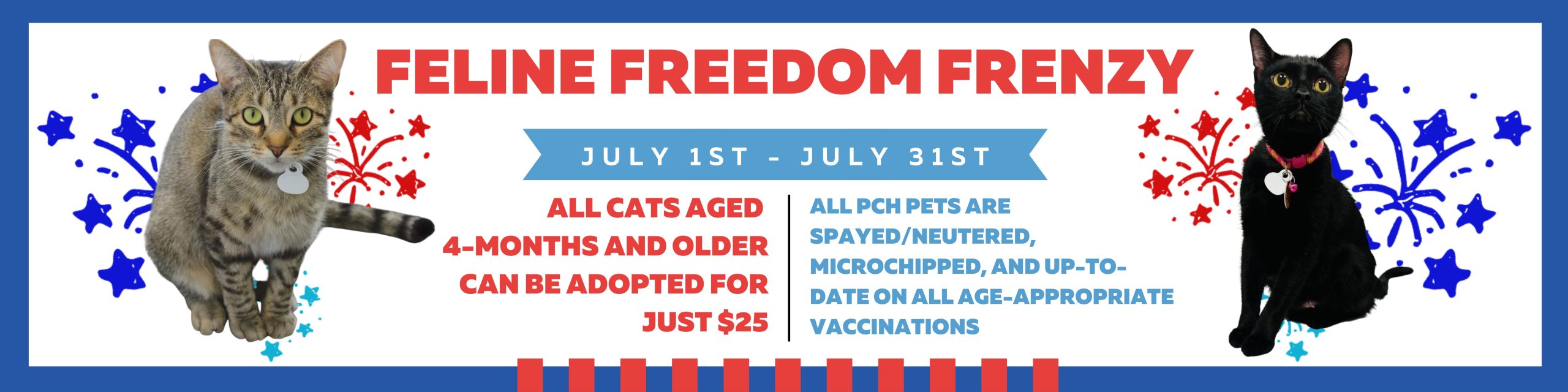 Feline Freedom Frenzy Banner